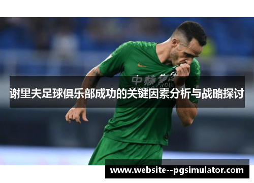 谢里夫足球俱乐部成功的关键因素分析与战略探讨 谢里夫足球俱乐部成功的关键因素分析与战略探讨