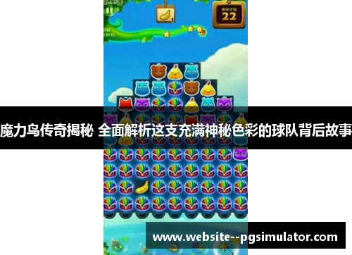 魔力鸟传奇揭秘 全面解析这支充满神秘色彩的球队背后故事