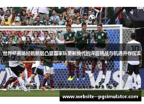世界杯赛场经验断层凸显国家队更新换代的深层挑战与机遇并存现实